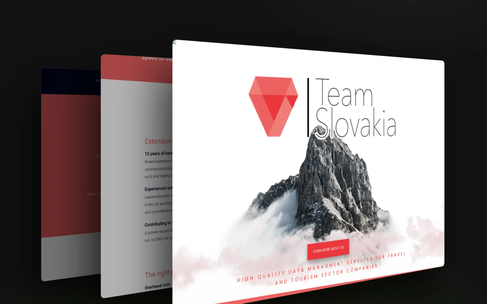 Team Slovakia – ukážky stránok webu